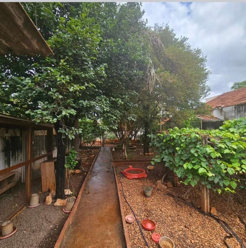 casa / comercial à Venda no bairro CENTRO em Jaú imagem 6