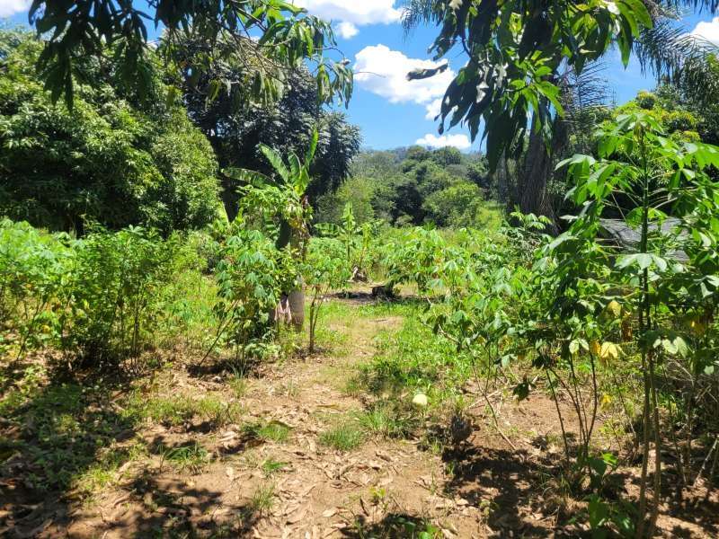 Chácara, Sítio ou Fazenda à Venda no bairro Baixão da Serra em Mineiros do Tietê imagem 7