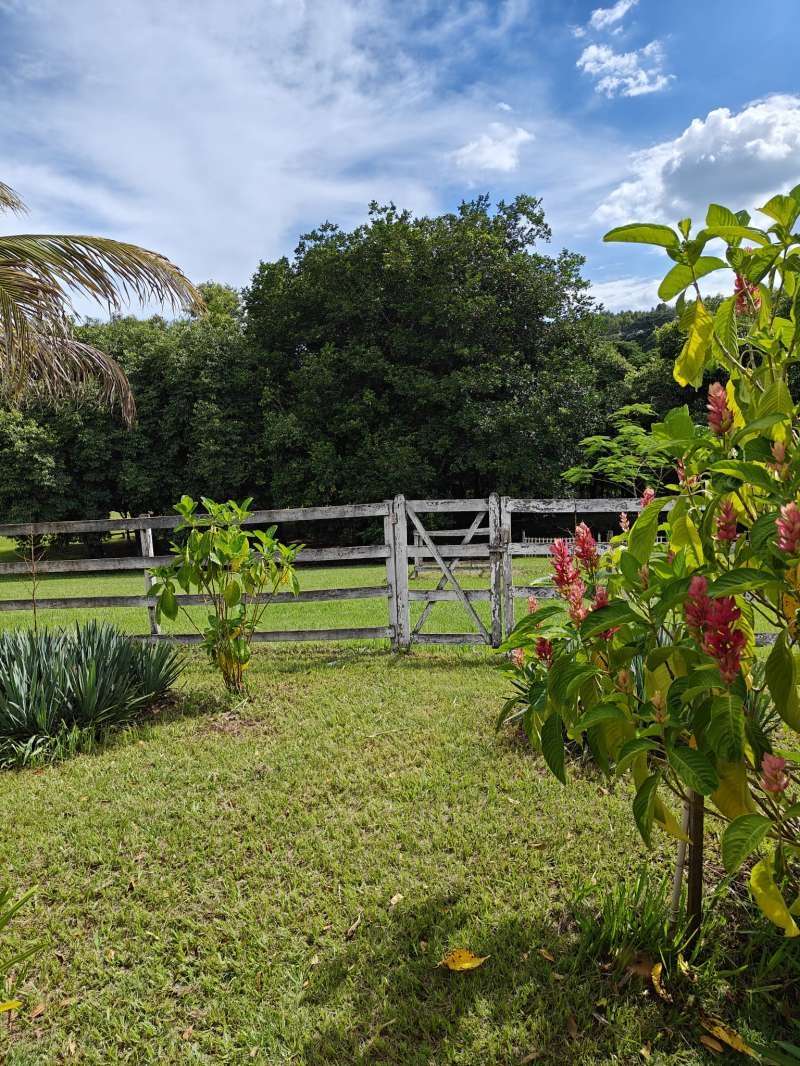 Chácara, Sítio ou Fazenda à Venda no bairro Baixão da Serra em Mineiros do Tietê imagem 17