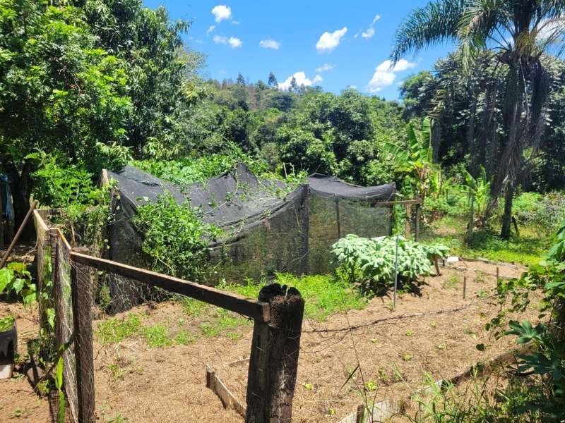 Chácara, Sítio ou Fazenda à Venda no bairro Baixão da Serra em Mineiros do Tietê imagem 3