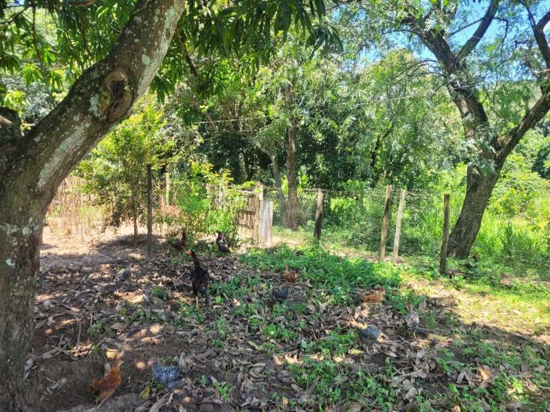 Chácara, Sítio ou Fazenda à Venda no bairro Baixão da Serra em Mineiros do Tietê imagem 6