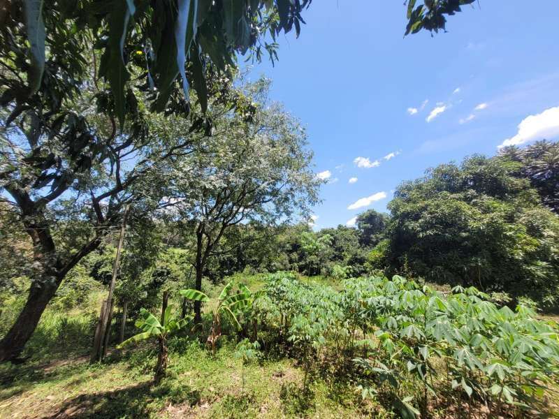Chácara, Sítio ou Fazenda à Venda no bairro Baixão da Serra em Mineiros do Tietê imagem 5