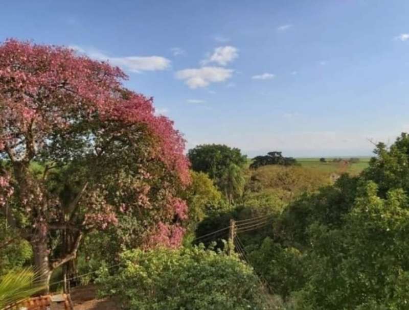 Chácara, Sítio ou Fazenda à Venda no bairro Barra Mansa em Jaú imagem 1