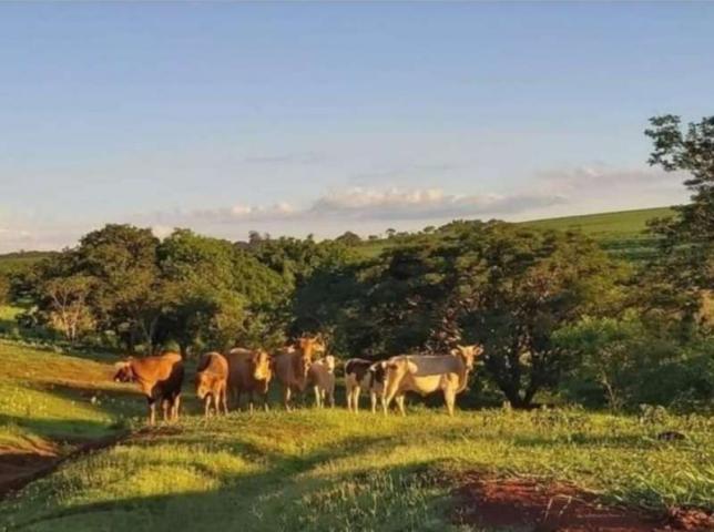 Chácara, Sítio ou Fazenda Venda Barra Mansa em Jaú