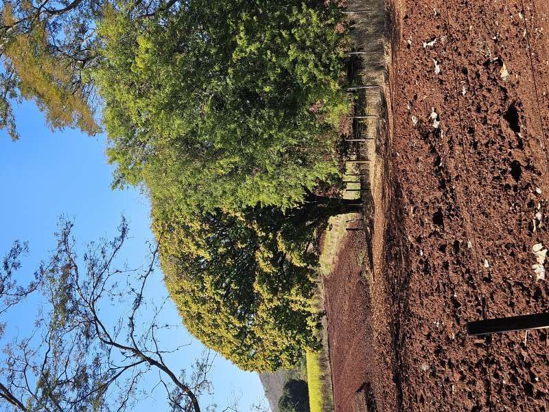 Chácara, Sítio ou Fazenda à Venda no bairro Pouso Alegre de Baixo em Jaú imagem 23