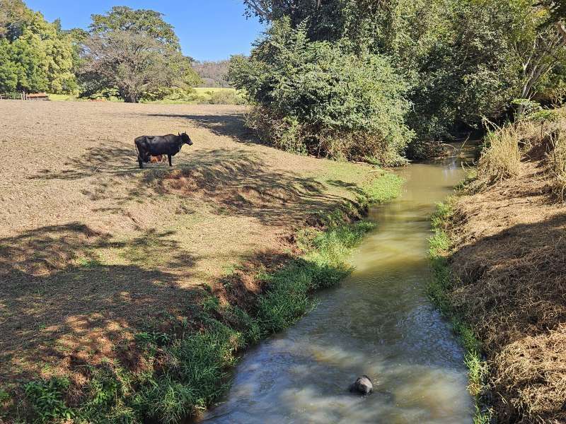 Chácara, Sítio ou Fazenda à Venda no bairro Pouso Alegre de Baixo em Jaú imagem 11