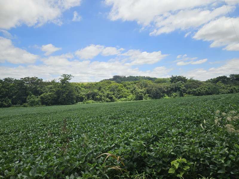 Chácara à Venda no bairro Condomínio Chácara Botelho em Jaú imagem 9
