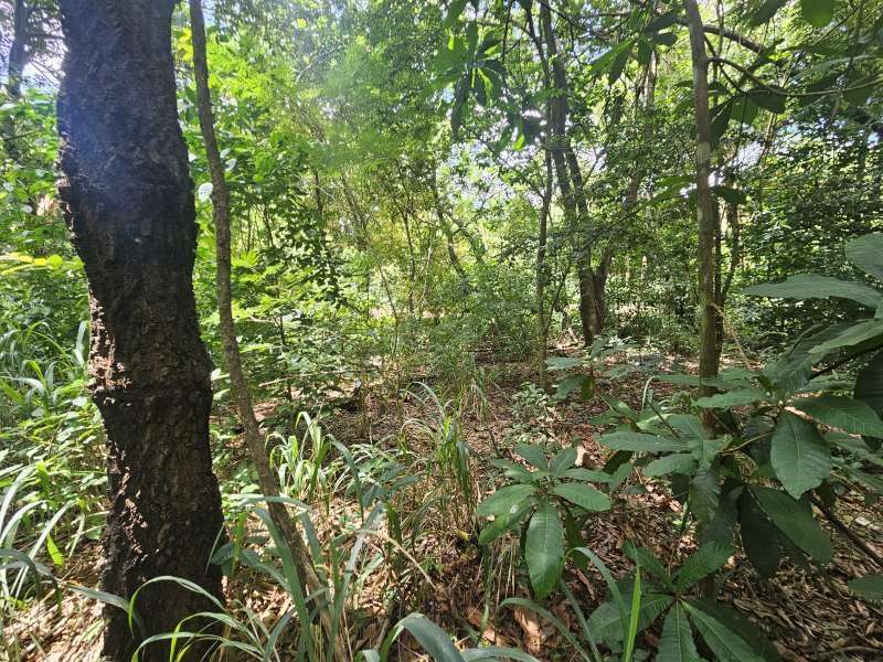 Chácara à Venda no bairro Condomínio Chácara Botelho em Jaú imagem 2