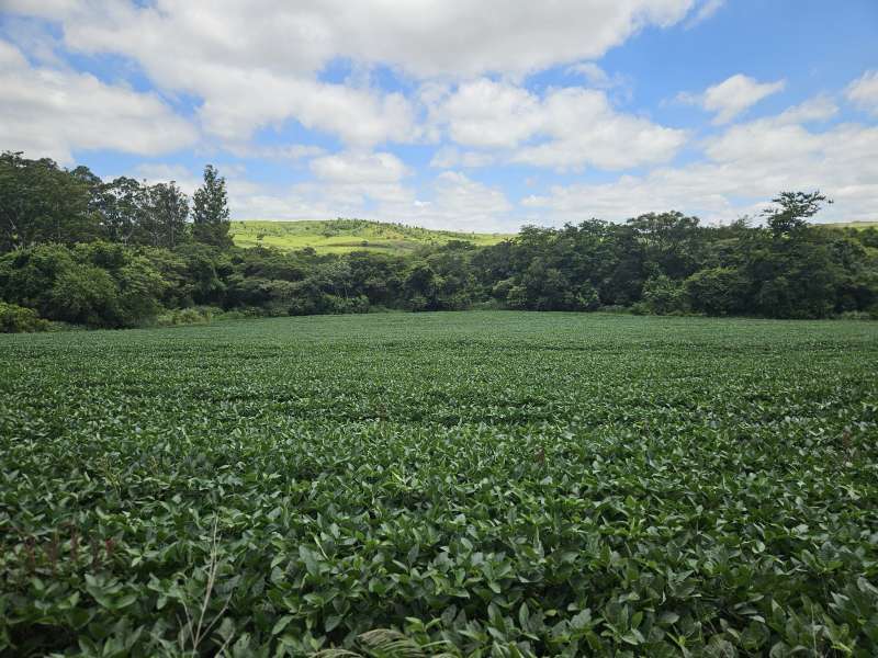 Chácara à Venda no bairro Condomínio Chácara Botelho em Jaú imagem 11