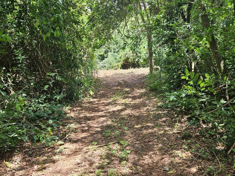 Chácara à Venda no bairro Condomínio Chácara Botelho em Jaú imagem 5