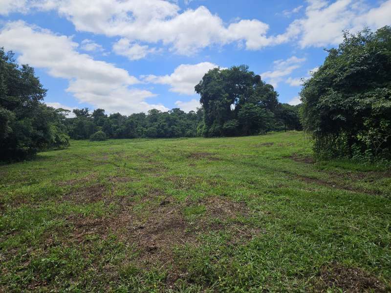 Chácara à Venda no bairro Condomínio Chácara Botelho em Jaú imagem 14