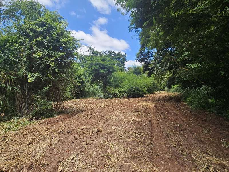 Chácara à Venda no bairro Condomínio Chácara Botelho em Jaú imagem 4