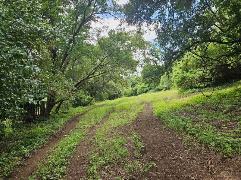 Chácara à Venda no bairro Condomínio Chácara Botelho em Jaú imagem 16
