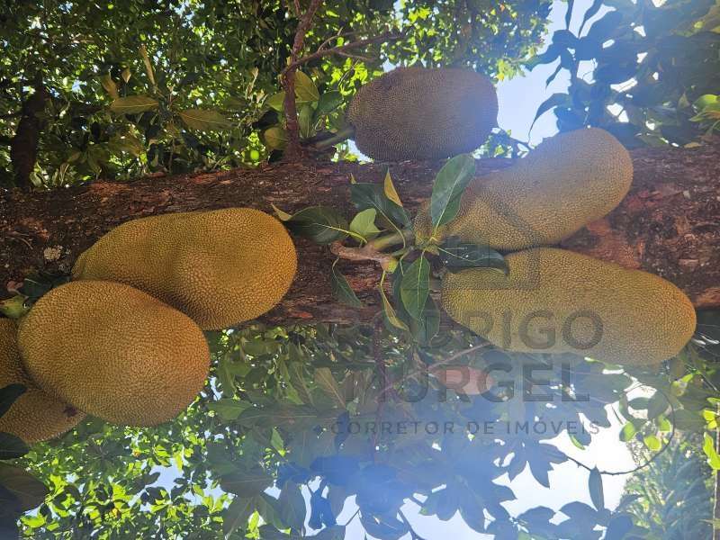 Casa à Venda no bairro Baririzinho em Itapuí imagem 39