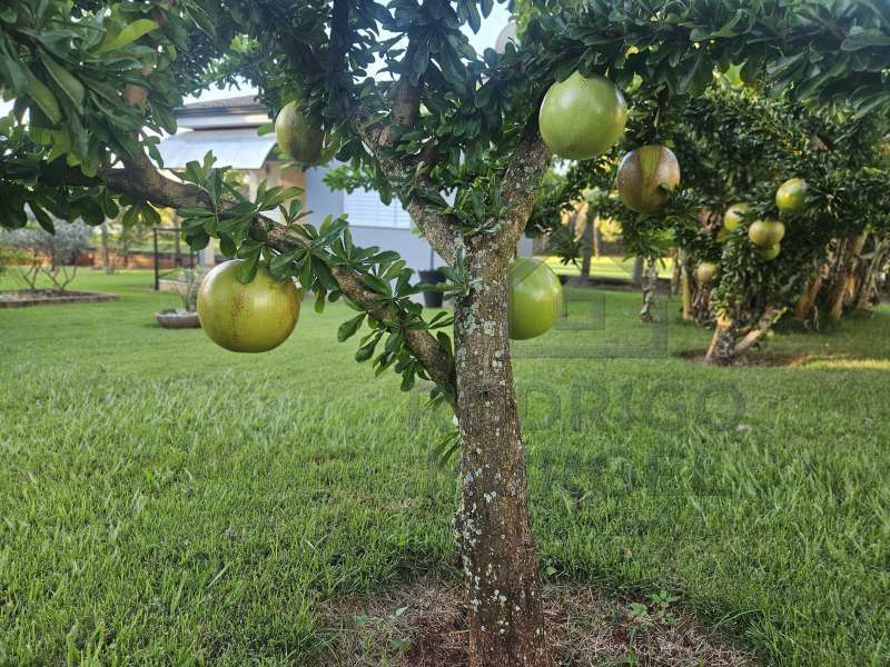 Casa à Venda no bairro Baririzinho em Itapuí imagem 54