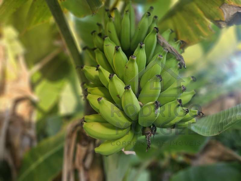 Casa à Venda no bairro Baririzinho em Itapuí imagem 40
