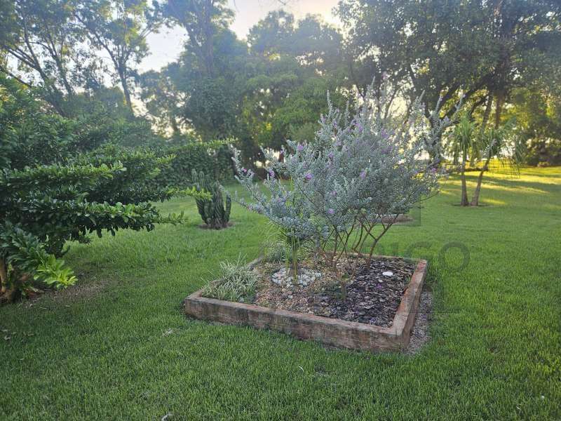 Casa à Venda no bairro Baririzinho em Itapuí imagem 28