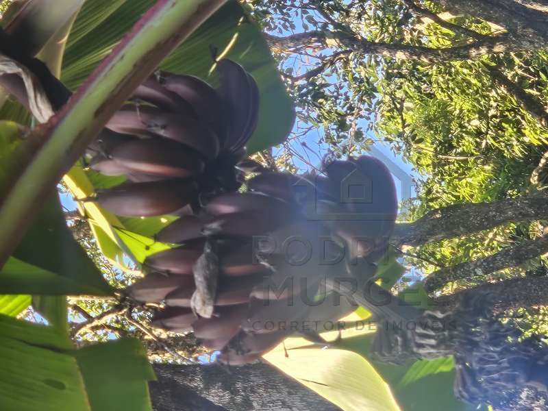 Casa à Venda no bairro Baririzinho em Itapuí imagem 10