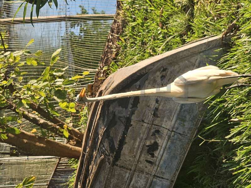 Casa à Venda no bairro Baririzinho em Itapuí imagem 20