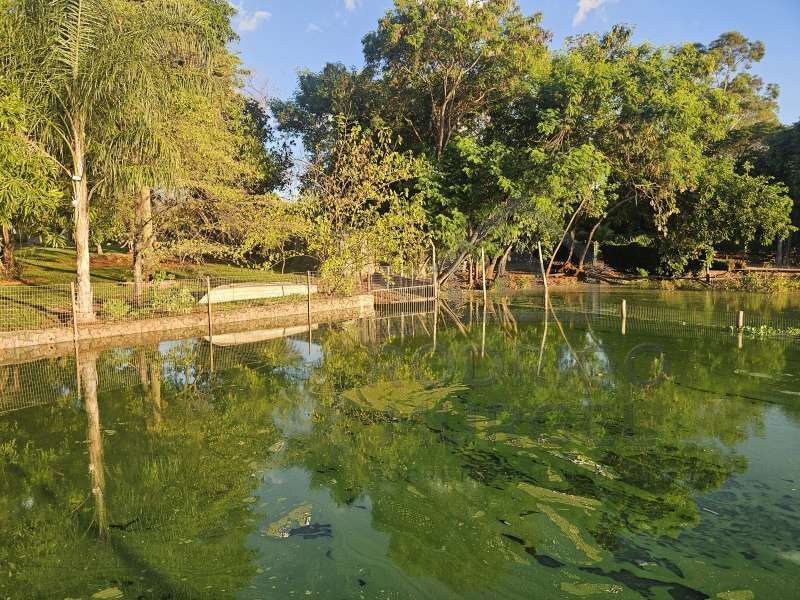 Casa à Venda no bairro Baririzinho em Itapuí imagem 55