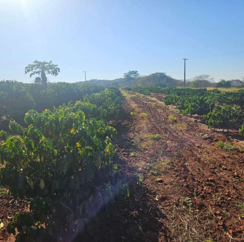 Chácara, Sítio ou Fazenda à Venda no bairro Estrada de terra em Itaju imagem 2
