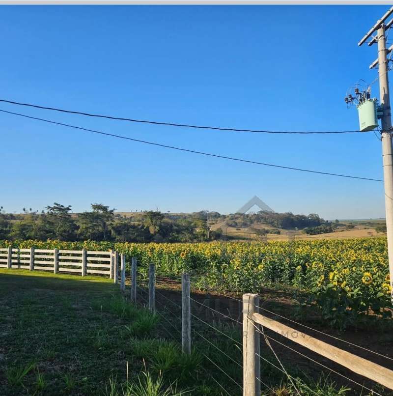 Chácara, Sítio ou Fazenda à Venda no bairro Estrada de terra em Itaju imagem 5