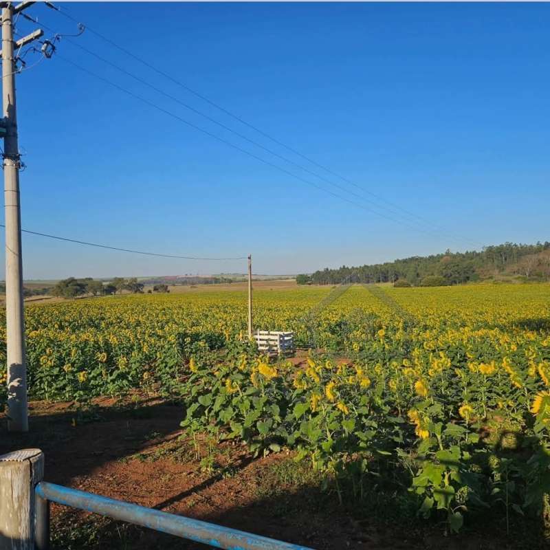 Chácara, Sítio ou Fazenda à Venda no bairro Estrada de terra em Itaju imagem 1