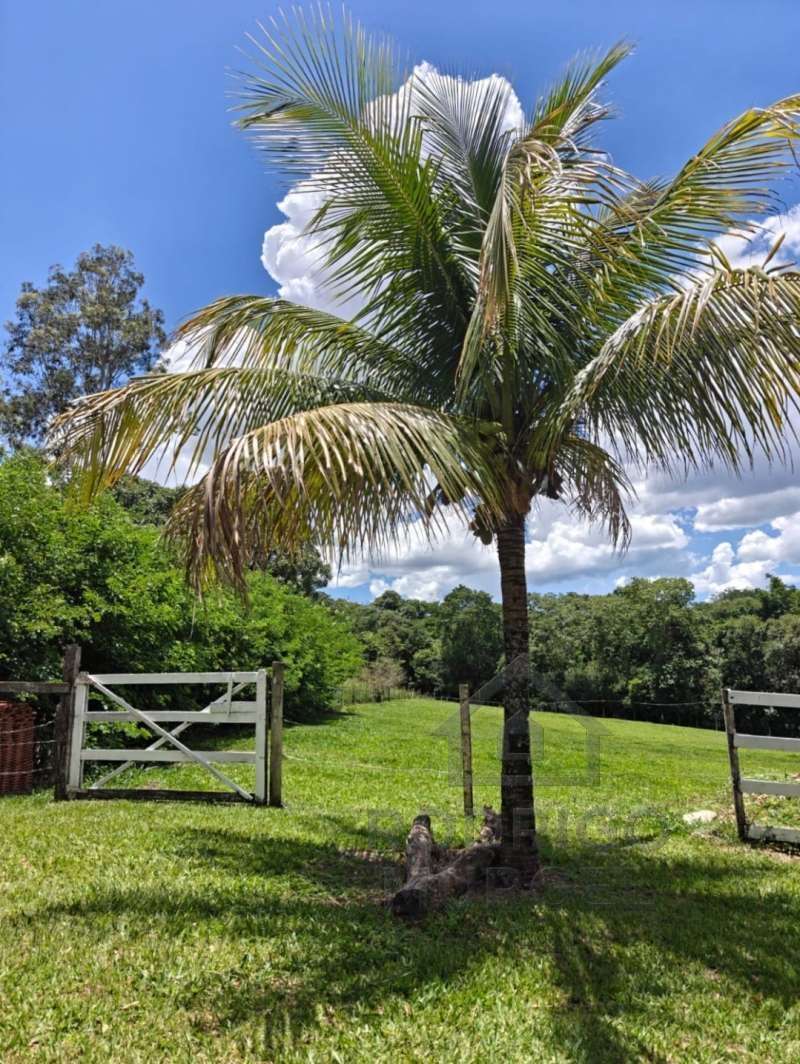 Casa à Venda no bairro Baixão da Serra em Mineiros do Tietê imagem 24