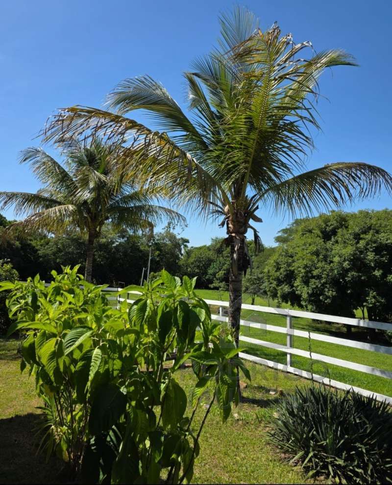 Casa à Venda no bairro Baixão da Serra em Mineiros do Tietê imagem 2