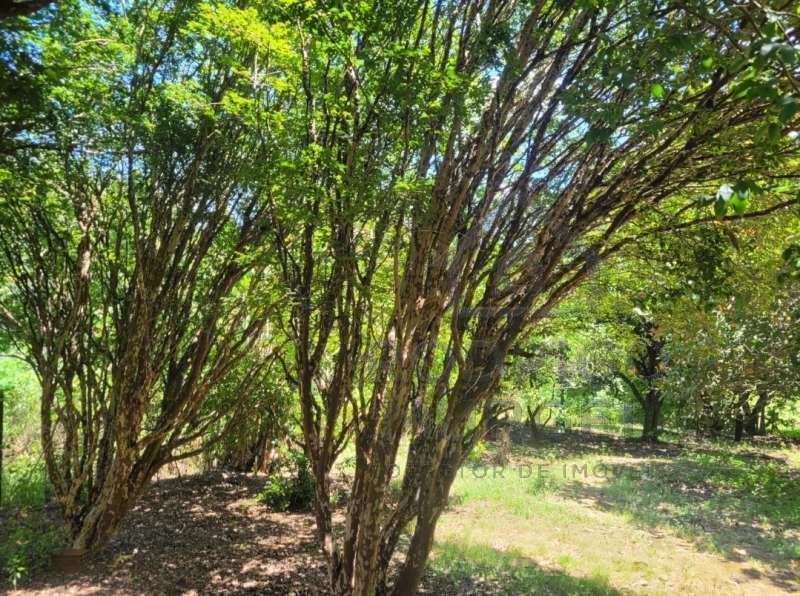Casa à Venda no bairro Baixão da Serra em Mineiros do Tietê imagem 14