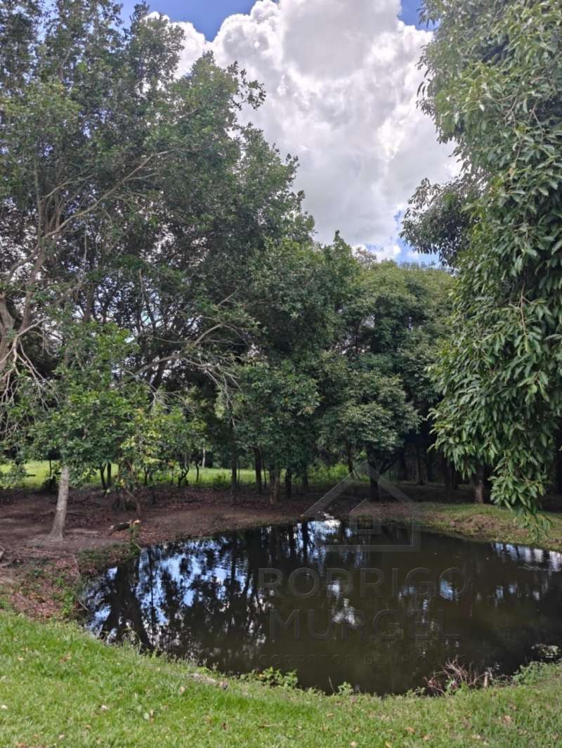 Casa à Venda no bairro Baixão da Serra em Mineiros do Tietê imagem 22