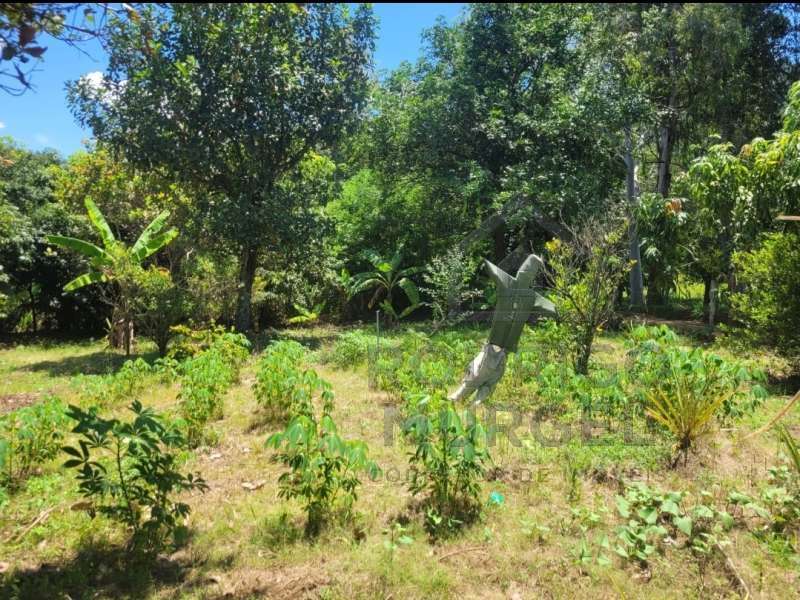 Casa à Venda no bairro Baixão da Serra em Mineiros do Tietê imagem 10