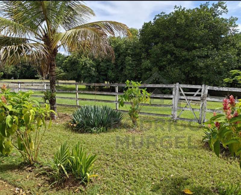 Casa à Venda no bairro Baixão da Serra em Mineiros do Tietê imagem 9