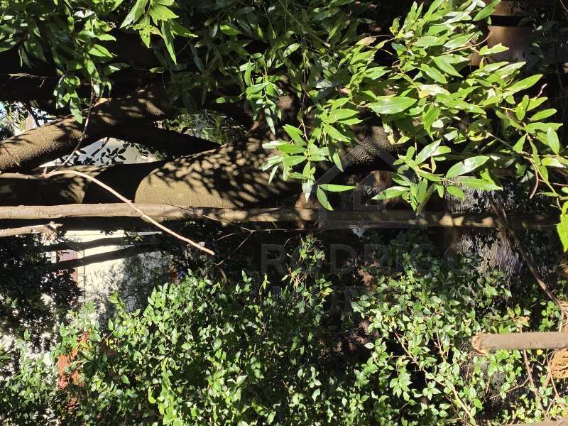 Barracão à Venda no bairro CENTRO em Jaú imagem 6