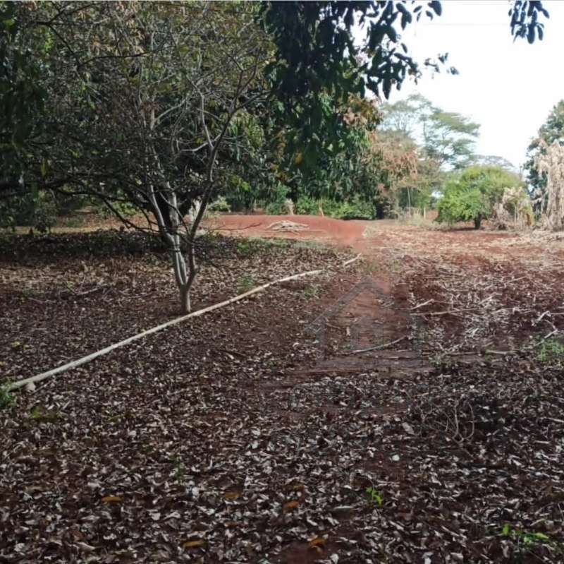 Chácara, Sítio ou Fazenda à Venda no bairro Altos do Tietê em Itapuí imagem 11