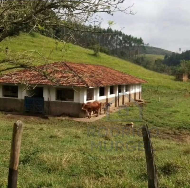 Chácara, Sítio ou Fazenda à Venda no bairro Higienópolis em São Paulo imagem 12