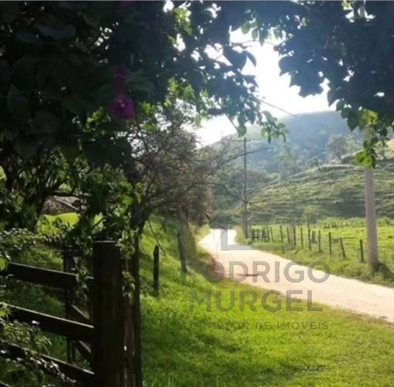 Chácara, Sítio ou Fazenda à Venda no bairro Higienópolis em São Paulo imagem 8