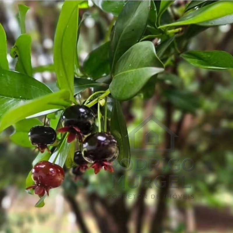 Chácara, Sítio ou Fazenda à Venda no bairro Condomínio Alvorada em Jaú imagem 1