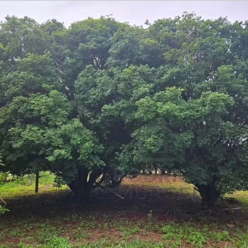 Chácara, Sítio ou Fazenda à Venda no bairro Condomínio Alvorada em Jaú imagem 5
